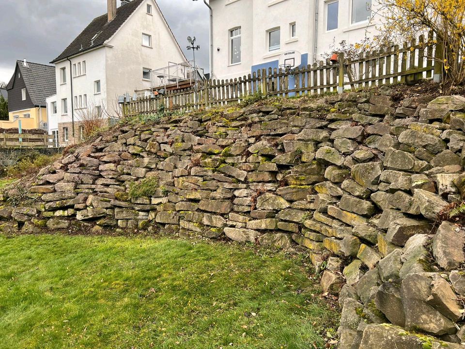 Gartenpflege & Gartenarbeiten für ihren Traumgarten! in Wetter (Ruhr)