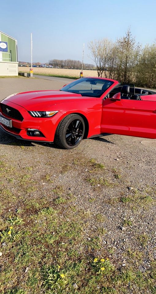 Ford Mustang Eco Boost 2.3 in Bünde