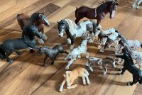 Schleich Pferde Versand möglich! Sachsen - Neukirchen/Pleisse Vorschau