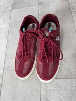 Original U.S. Polo Assn. Herren Sneaker Gr 44 Schleswig-Holstein - Neumünster Vorschau