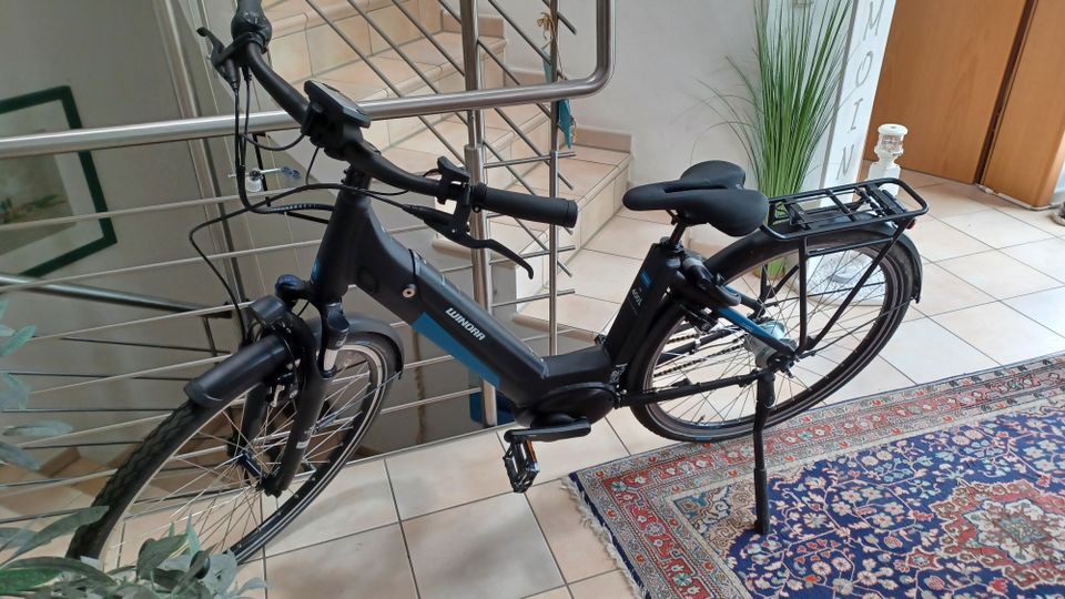 City E-Bike in Erlenbach