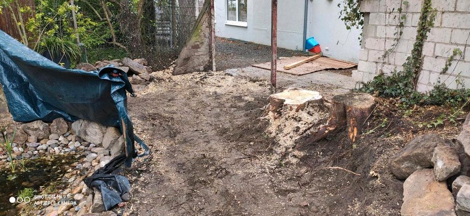 Wurzelfräsen Stubbenfräsen Baumstumpffräsen Baumfällung in Georgsmarienhütte