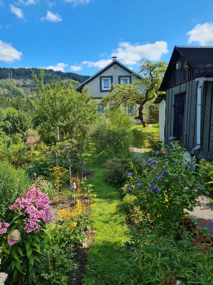 großer Garten mit Siedlungshaus, Garage + Carport Baugrundstück in Suhl