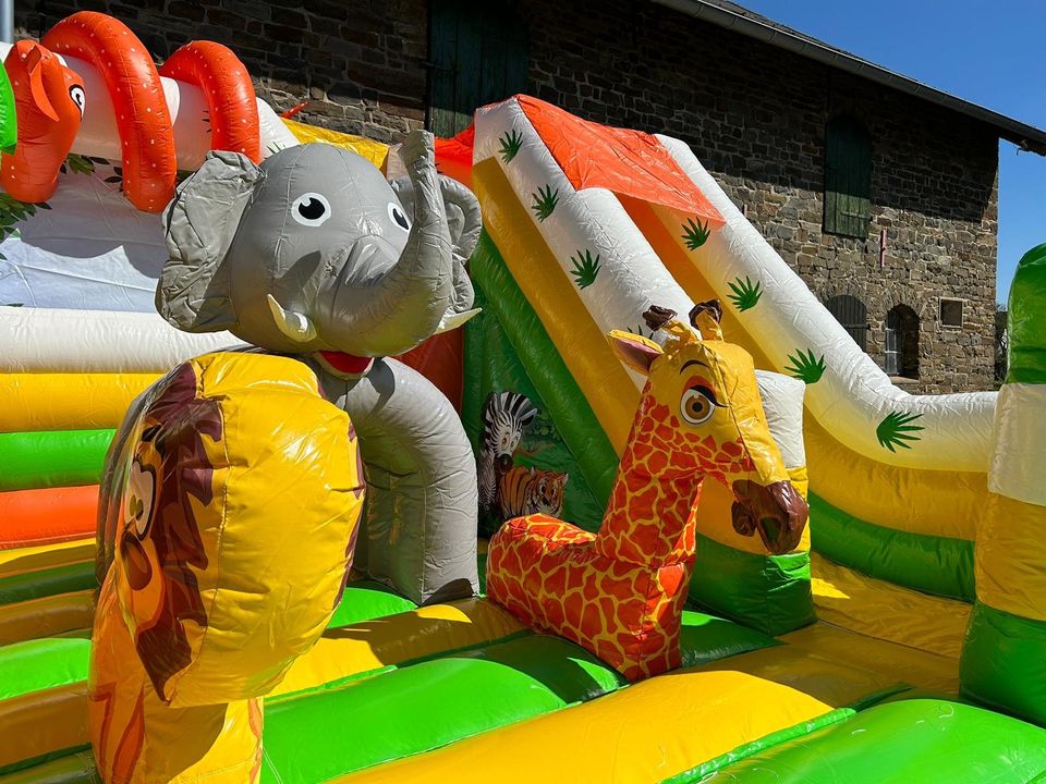 Hüpfburg Safari mieten / Hüpfburg Verleih / Kindergeburtstag in Lohmar