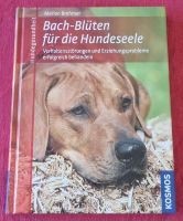 Buch Bachblüten für Hunde Schleswig-Holstein - Lindewitt Vorschau