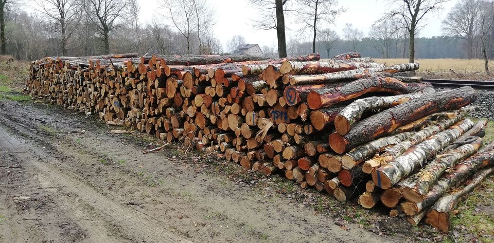 Kaminholz Brennholz trocken in Mauritz