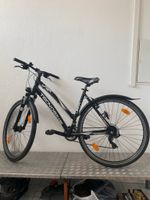 Fahrrad Trekking Tecnobike Niedersachsen - Giesen Vorschau