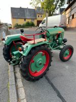 Traktor Holder B10 Rheinland-Pfalz - Gutenacker Vorschau