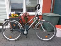 Damen und Herren fahrrad.28 Zoll.Modell KALKOFF. ALU Niedersachsen - Bremervörde Vorschau