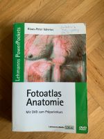 Fotoatlas Anatomie Sachsen-Anhalt - Magdeburg Vorschau