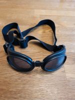 Cabriobrille für Hunde Hundebrille Brille Hessen - Rödermark Vorschau