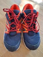 Sportschuhe Salomon Sachsen - Großschweidnitz Vorschau