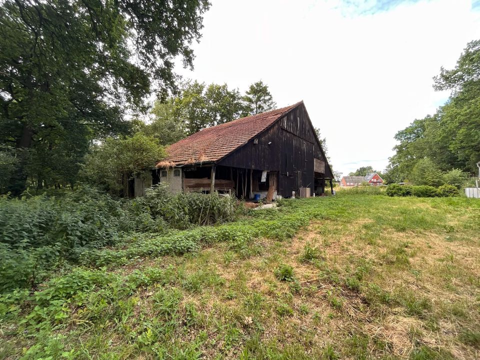 Provisionsfrei für Käufer! Sanierungsbedürftiger Resthof mit großem Grundstück von ca. 170.000 m²! in Twist