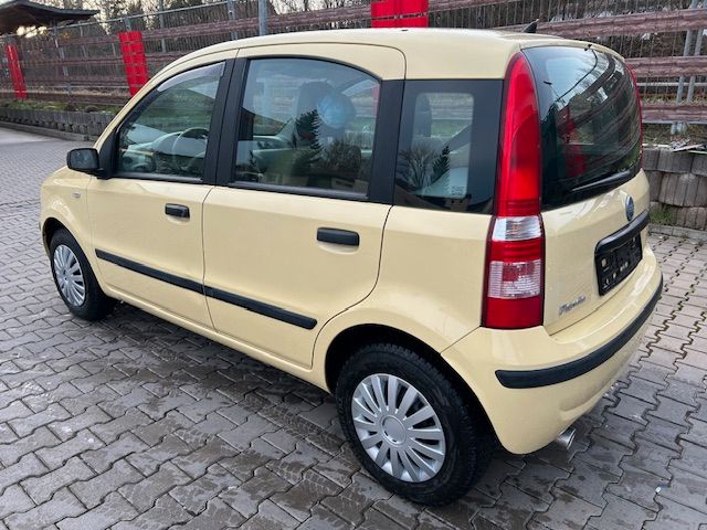 gepflegter Fiat Panda TÜV 2/2026 , Kundendienst Neu in Neustadt