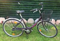 Damenfahrrad / Fahrrad 28 Zoll Hessen - Gladenbach Vorschau