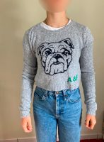 Strickpulli von Abercrombie und Fitch Gr. S kurz Bulldogge Hessen - Bad Vilbel Vorschau