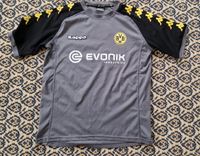 Kappa BVB Borussia Dortmund Herren Trikot Gr.L grau Baden-Württemberg - Güglingen Vorschau