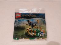 LEGO Harry Potter 30651: Quidditch Training NEU & OVP Bayern - Moosinning Vorschau