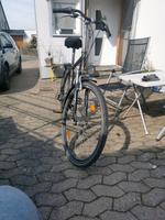 Herren Fahrrad Bayern - Hof (Saale) Vorschau