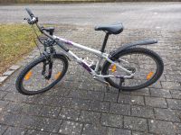 Fahrrad 26 Zoll, Scott mit Schutzblech und Ständer Baden-Württemberg - Obersontheim Vorschau