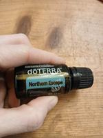 Northern Escape NEU doTERRA ätherisches Öl Sachsen - Schönbach Vorschau