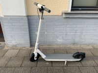Unverpackte escootern zum verkaufen Nordrhein-Westfalen - Düren Vorschau