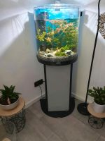 Tetra AquaArt Aquarium 60 Liter mit Unterschrank Nordrhein-Westfalen - Halle (Westfalen) Vorschau