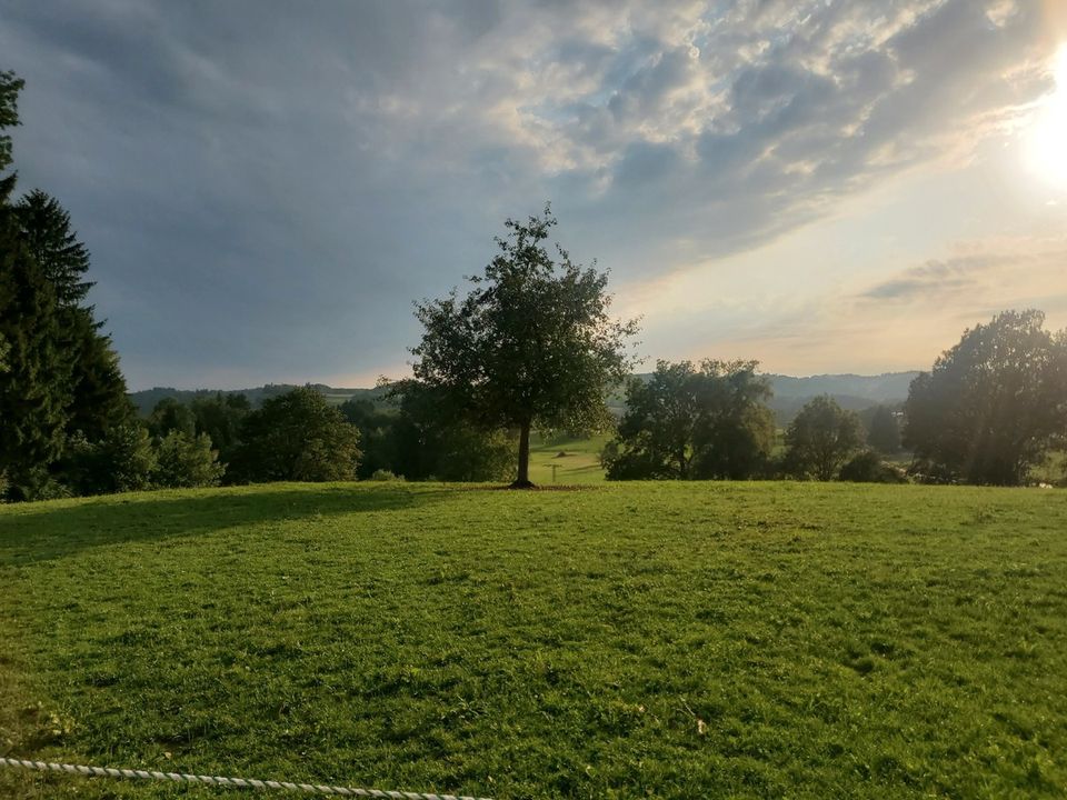 Wer zuerst kauft, baut zuerst !Voll erschlossenes ca. 5800 m² großes Grundstück, mit ca. 2000m² Baufläche. in Oberkrämer