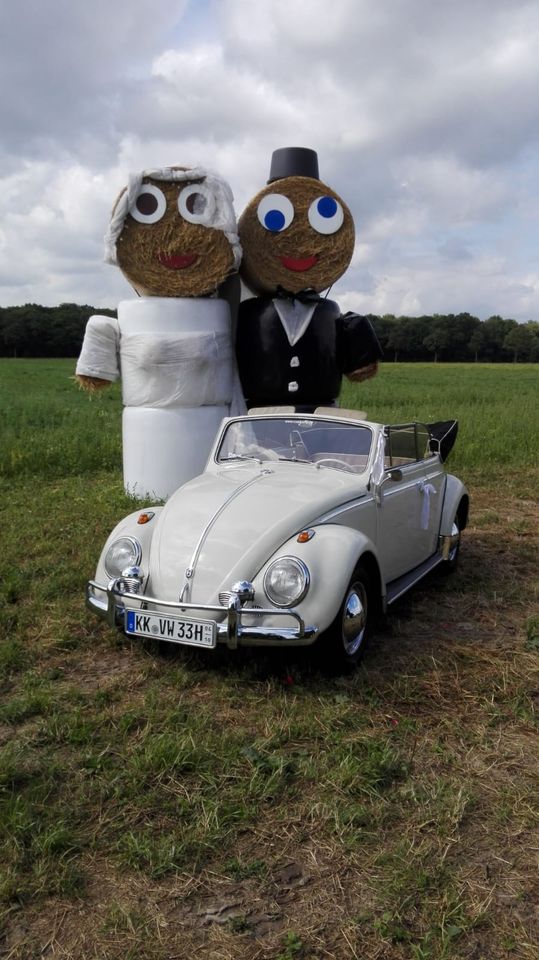 Vw Käfer Cabrio Brautauto Hochzeit Brautwagen in Grefrath