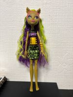 Verkaufe Monster High Fusion Clawdeen und Venus Puppe Rheinland-Pfalz - Igel Vorschau