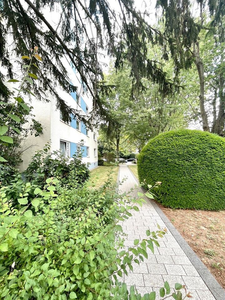 Herrlicher Fernblick -  offene 1,5 Zimmer-Whg mit Balkon, gepflegtes Haus - mitten im Rhein-Main-Gebiet in Hofheim am Taunus