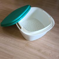 Tupperware Siebservierer Schleswig-Holstein - Flensburg Vorschau