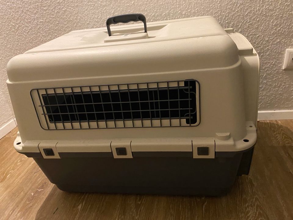 Hunde- Katzentransportbox Transportbox in Meckenheim