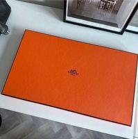 Hermes Box 38cm x23 cm Aufbewahrung Aachen - Aachen-Mitte Vorschau