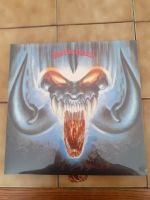 Motörhead Rock 'N'Roll Vinyl Lp neu Brandenburg - Briesen (Mark) Vorschau