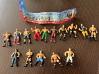 WWE Dolci Preziosi Mini Figuren Komplett Sammlung Schleswig-Holstein - Lübeck Vorschau