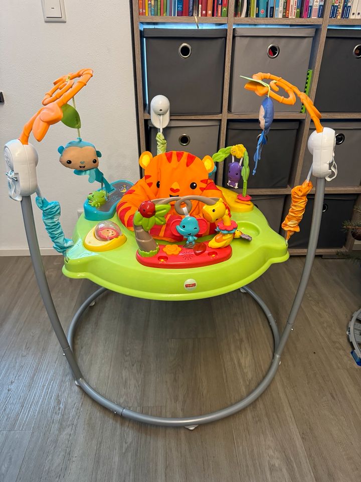 FisherPrice Jumperoo CHM91-9653 in Karlskron