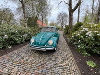 VW Käfer Oldtimer Niedersachsen - Saterland Vorschau