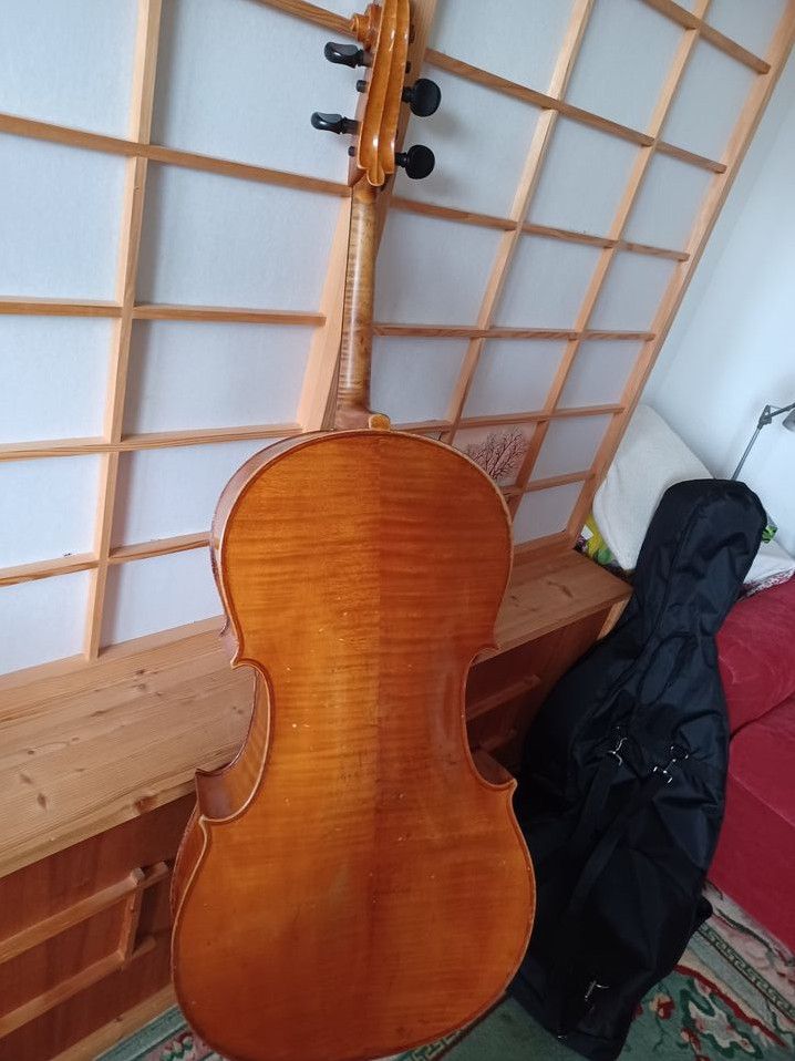 4/4 Violoncello  Cello in Marburg