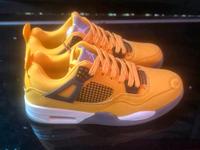 Neue Nike Jordan Gr. 43 Hamburg-Mitte - Hamburg Hamm Vorschau