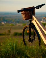 E-Bike My Esel Trekking Pedelec E-Cross Komfort Größe M Rheinland-Pfalz - Forst an der Weinstraße Vorschau