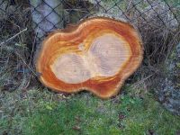 Holz, Kirschbaum, zum Weiterverarbeiten Thüringen - Werther bei Nordhausen Vorschau
