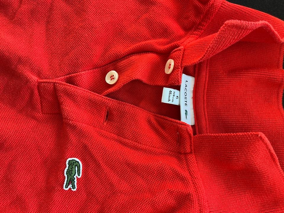 Kinder Polo-Shirt von Ralph Lauren, Lacoste 116,128,134,140 in München