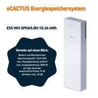 10,24 kWh ECACTUS Speichersystem für 6650 W inkl. Wechselrichter Mecklenburg-Vorpommern - Torgelow Vorschau