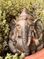 alter dicker Buddha Ganesha Elefant Elefantengott Indien selten Neumünster - Tasdorf Vorschau