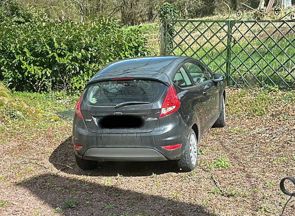 Ford Fiesta 1,6TDCi in Mannheim