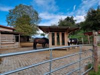 Offenstall Platz / Paddock-Trail Vollpension Baden-Württemberg - Münsingen Vorschau