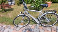 Herren Trekking Fahrrad 28 Zoll Rahmenhöhe 52cm Sachsen - Machern Vorschau