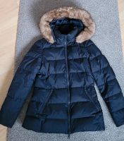 Tommy Hilfiger Winterjacke in blau Nordrhein-Westfalen - Höxter Vorschau