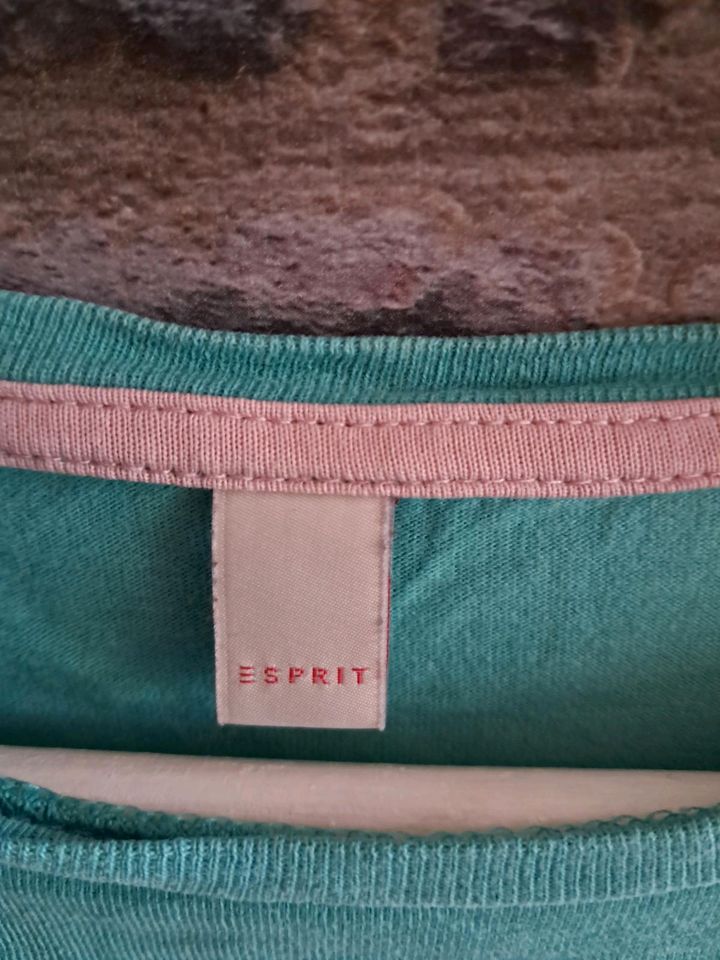 Langarm Shirt Esprit Gr. 152/158 in Rietberg